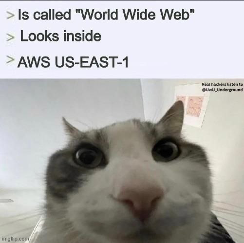 Cat meme: 'Is called World Wide Web / Looks inside / AWS us-east-1'
